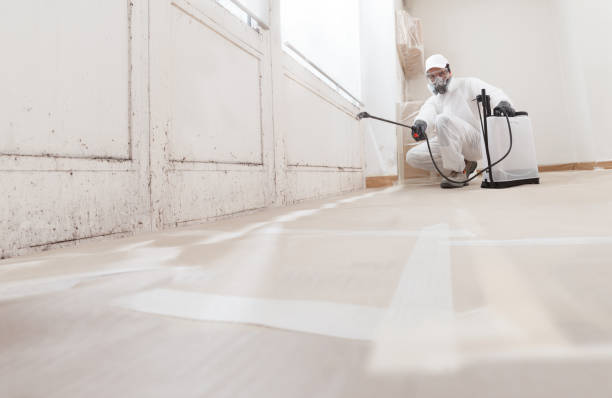 24/7 Emergency Mold Removal experts in Washington, DC