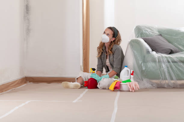 Reliable Mold Removal contractor in Washington, DC by WQB Mold Removal